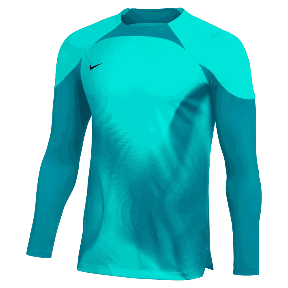 Nike Gardien IV LS Goalkeeper Jersey