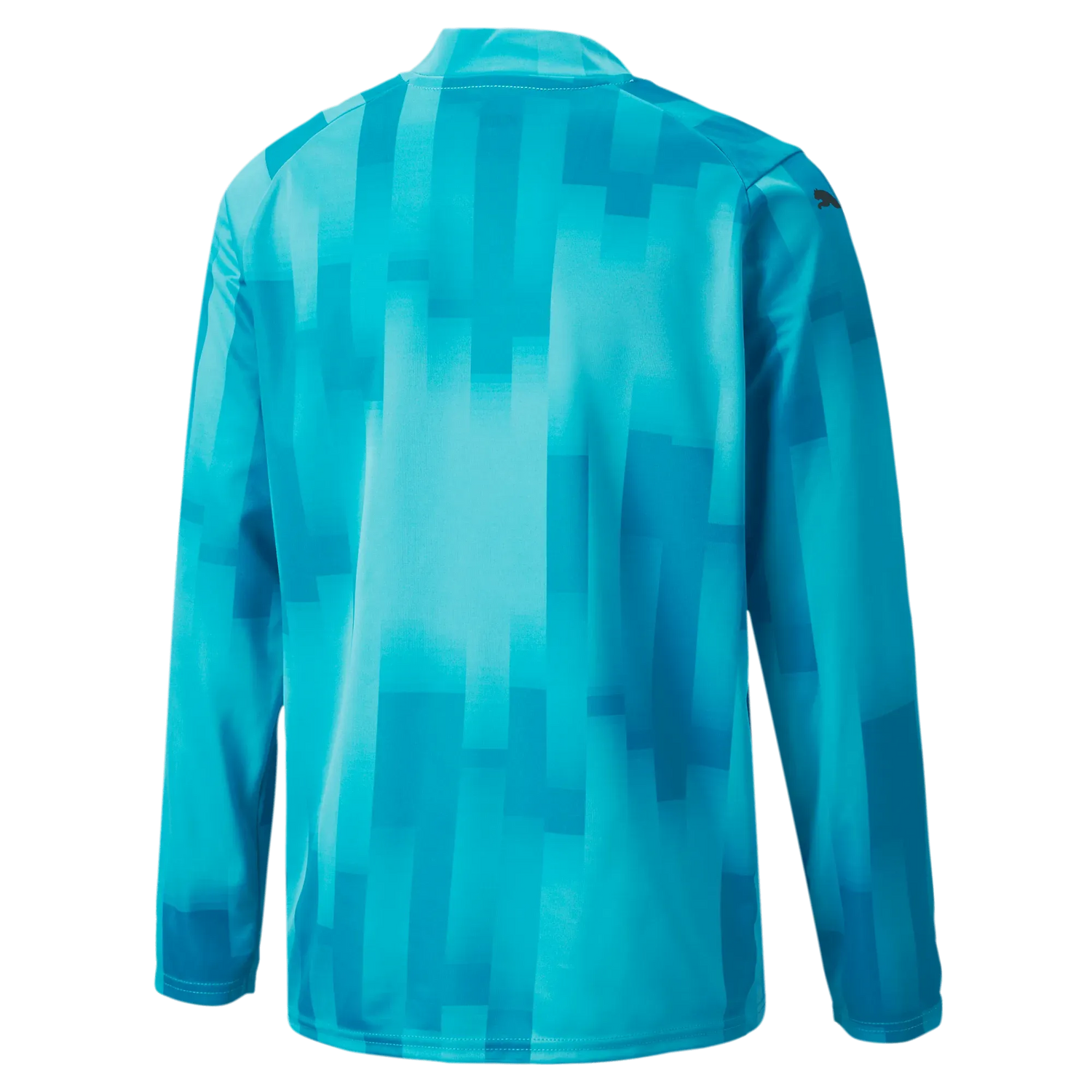 Puma Teamtarget Goalkeeper  Longsleeve Youth Jersey Bright Aqua (Back)