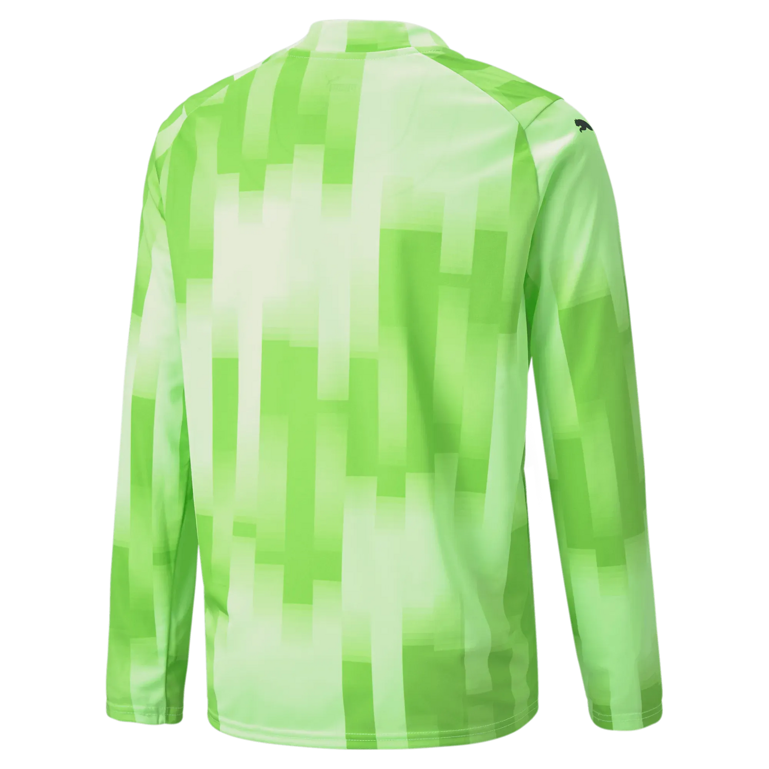 Puma Teamtarget Goalkeeper  Longsleeve Youth Jersey Fizzy Lime (Back)