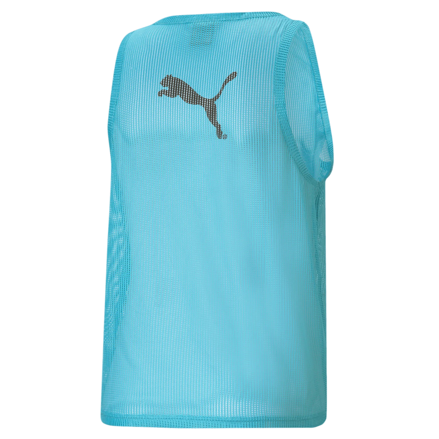 Puma Mens Training Vest Blue (Back)