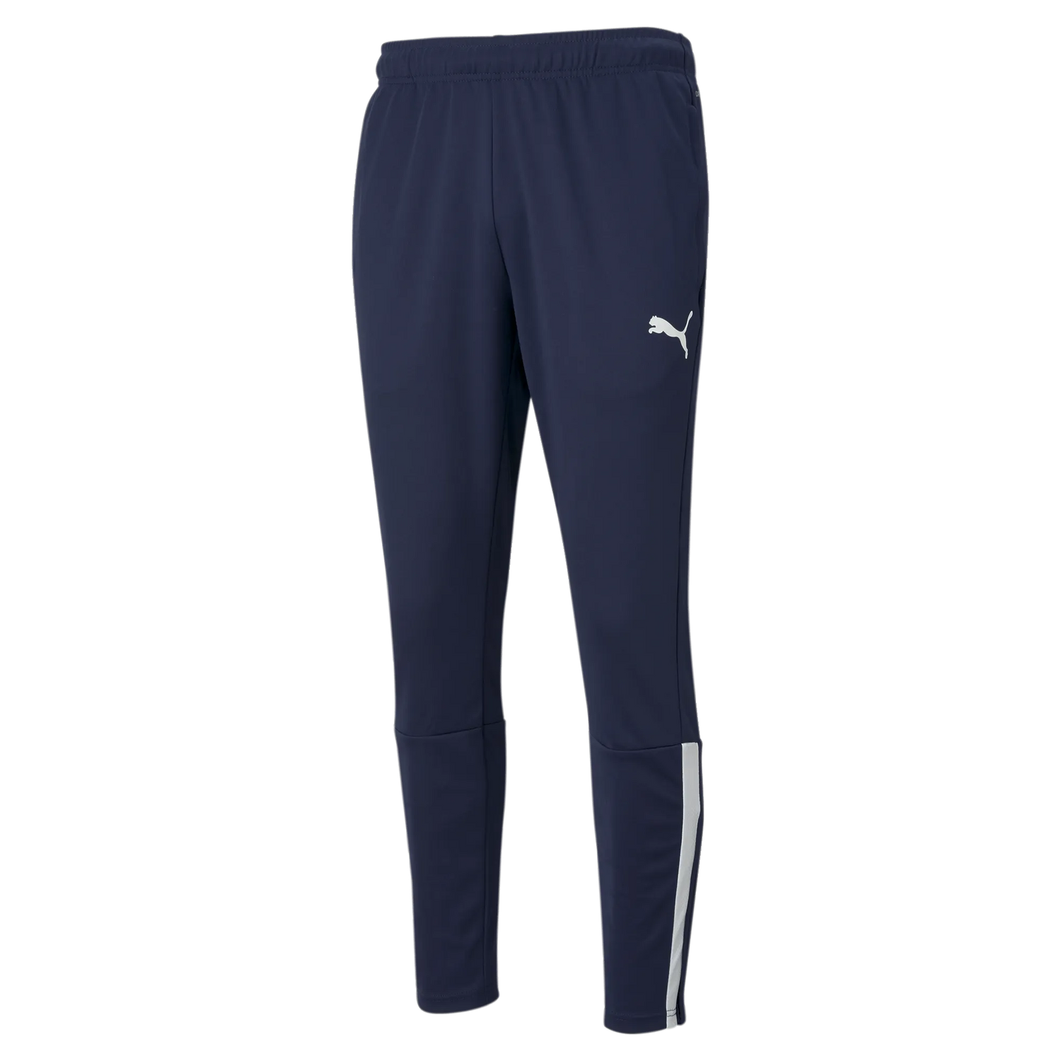 Puma TeamLiga Training Pants (Front)