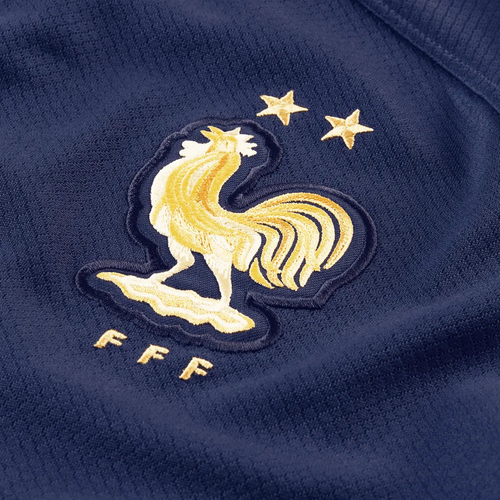 Nike 2022-23 France Home Jersey - Midnight Navy-Metallic Gold (Detail 5)