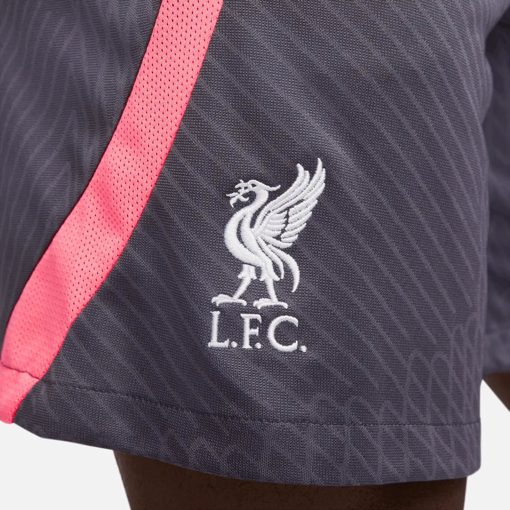 Nike 2023-24 Liverpool Men's Strike Shorts (Detail 3)