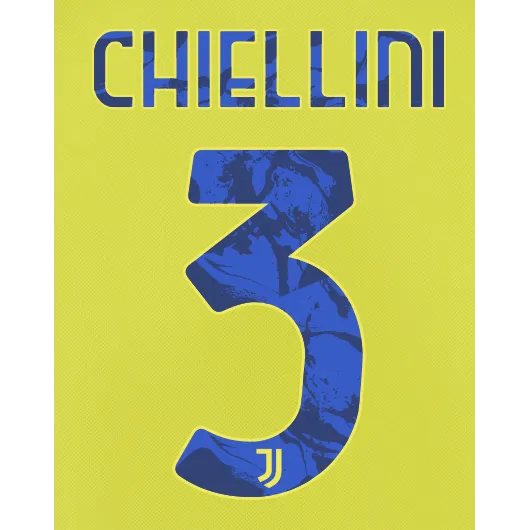 Juventus 2021/22 Third Chiellini #3 Jersey Name Set (Main)