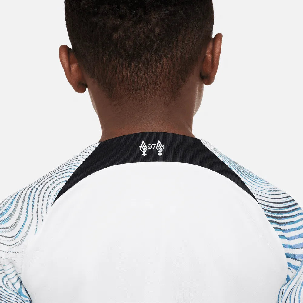 Nike 2022-23 Liverpool Youth Away Jersey (Detail 3)