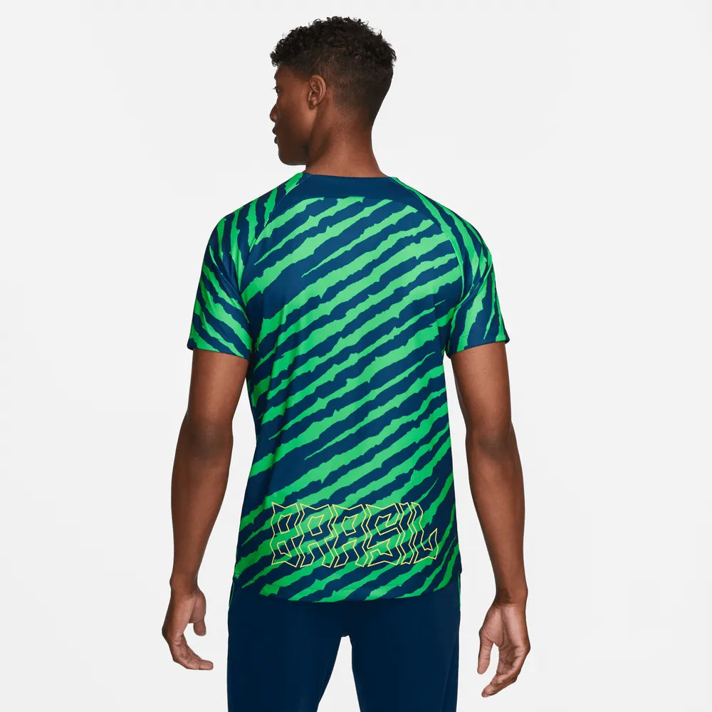 Nike 2022-23 Brazil Pre-Match Jersey - Blue-Green (Model - Back)