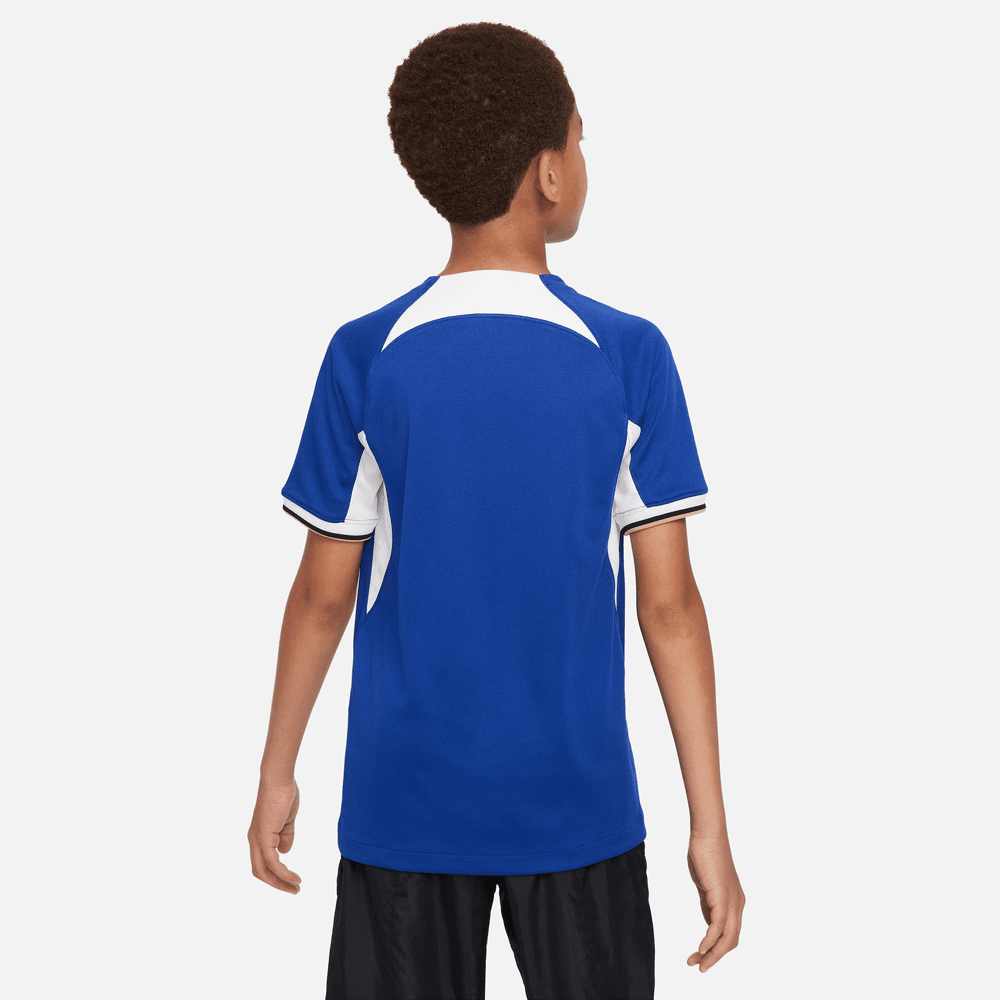 Chelsea FC 2023/24 Stadium Home Men's Nike Dri-FIT Soccer Jersey.