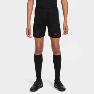 Nike 2024-25 Barcelona Youth Stadium Away Shorts (Model - Front)