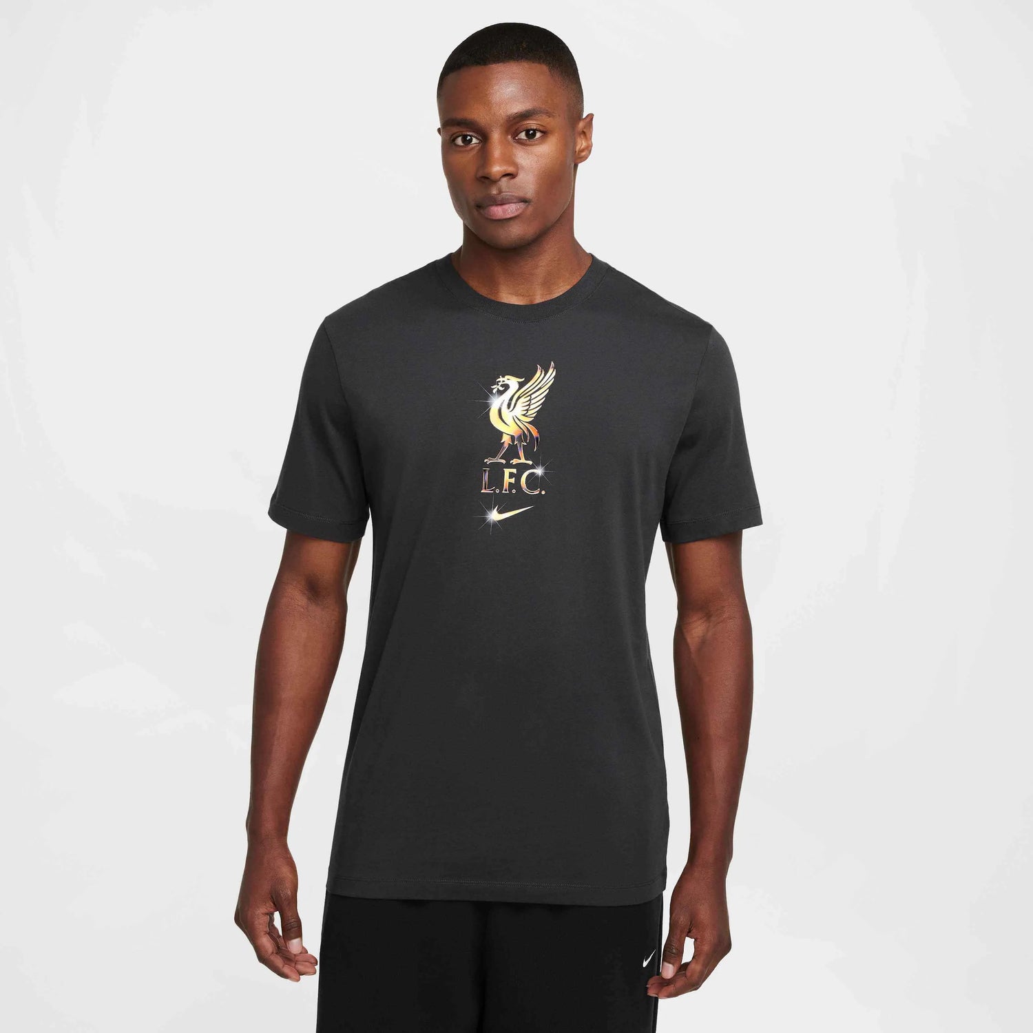 Nike 2024-25 Liverpool Men's Crest T-Shirt (Model - Front)