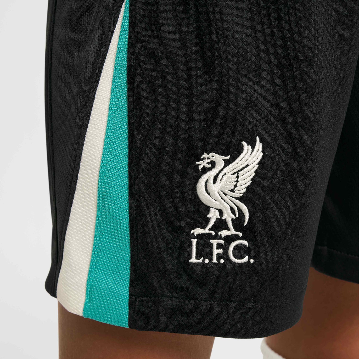 Nike 2024-25 Liverpool Youth Stadium Away Shorts (Detail 2)