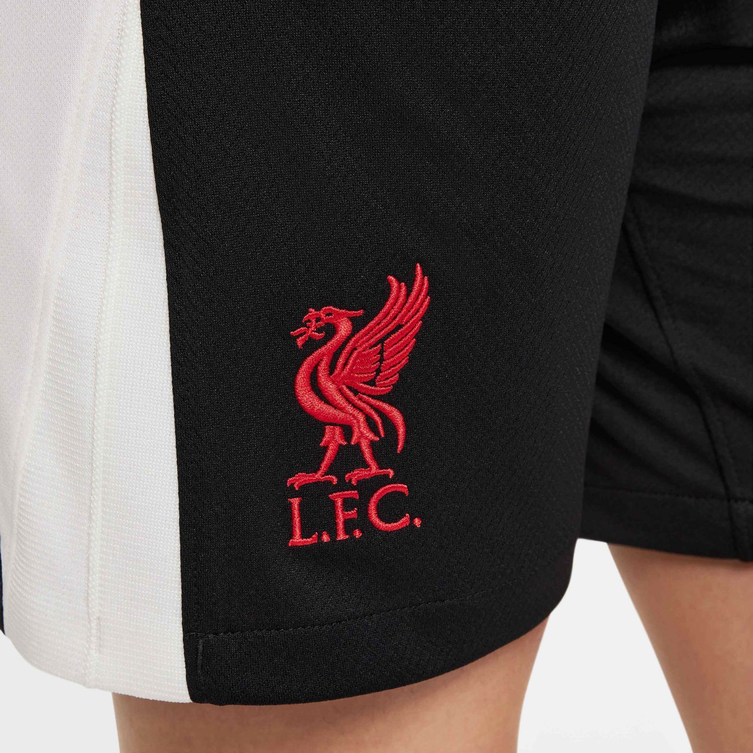 Nike 2024-25 Liverpool Youth Stadium Third Shorts (Detail 2)