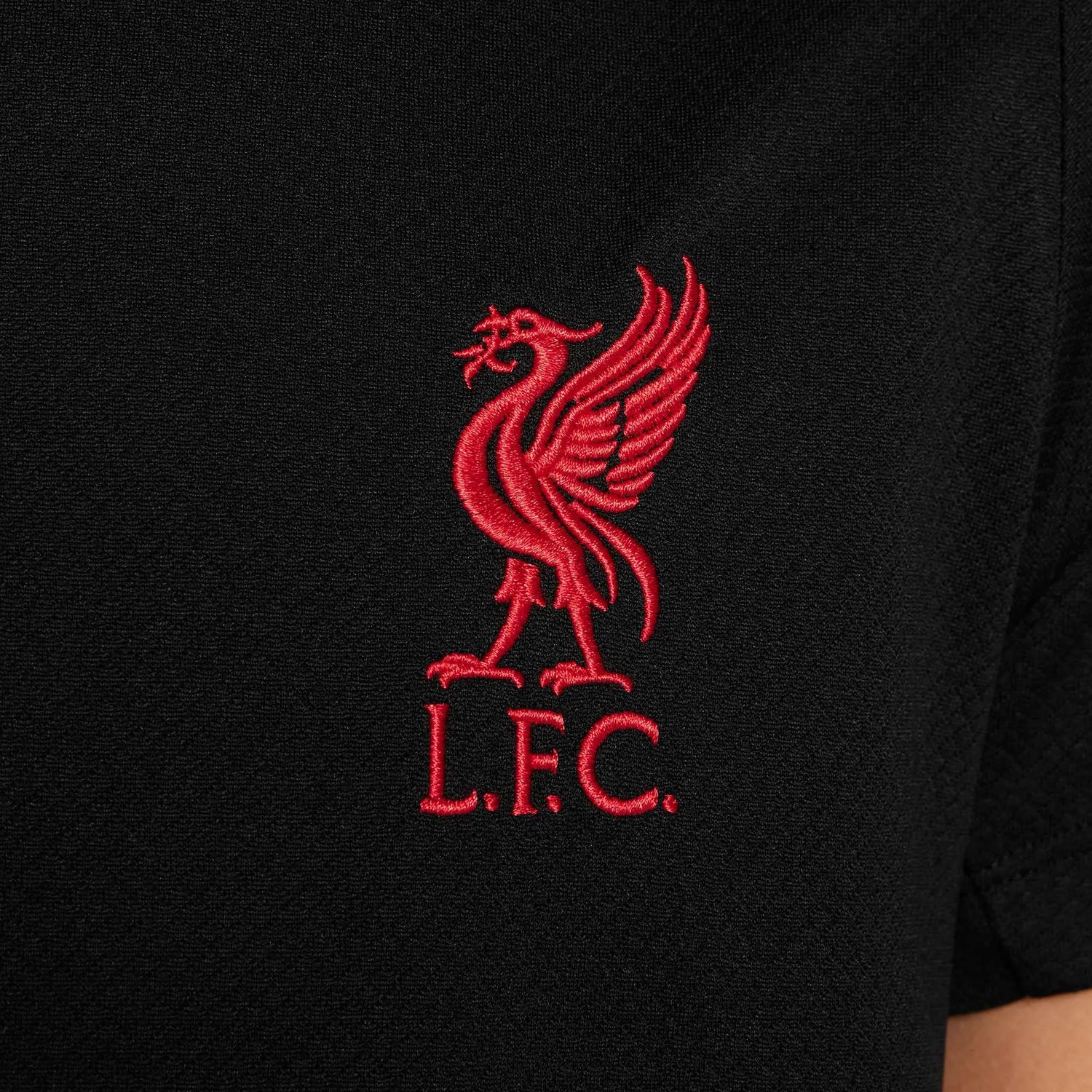 Nike 2025 Liverpool Youth Strike Soccer Jersey (Detail 5)