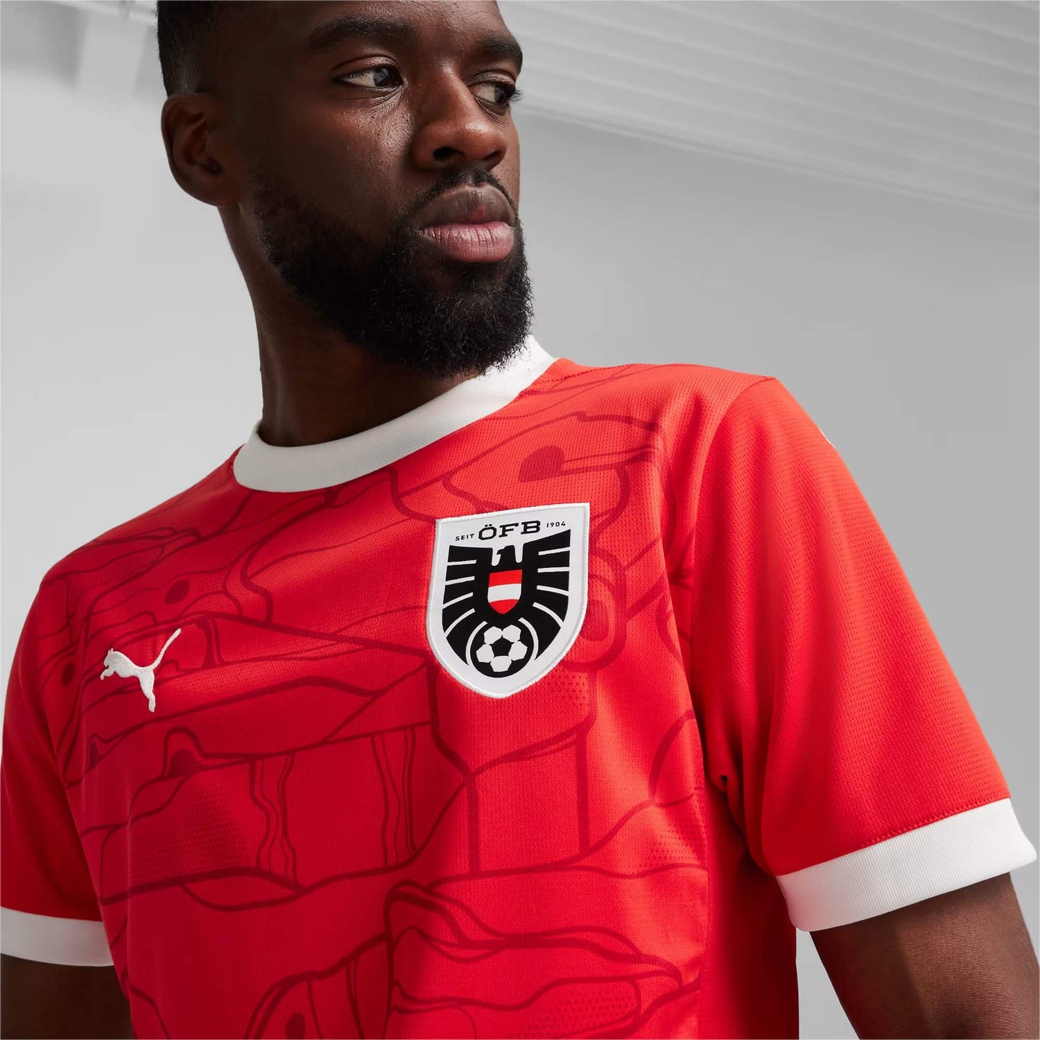 Puma 2024-25 Austria Men's Stadium Home Jersey (Detail 1)