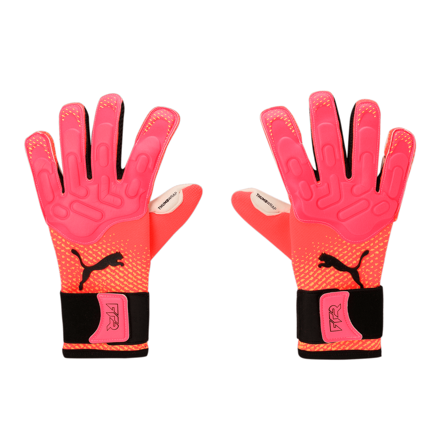 Puma Future Pro Hybrid Goalkeeper Gloves (Pair - Front)