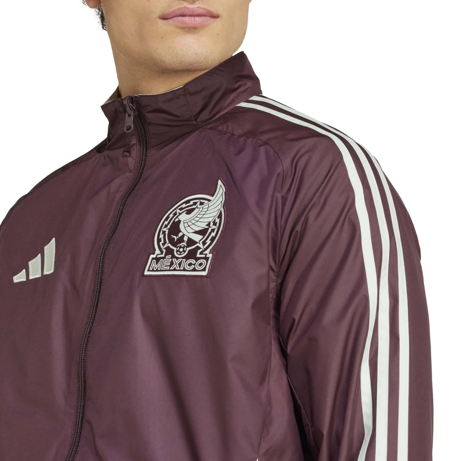 adidas 2024-25 Mexico Men's Anthem Jacket (Detail 1)