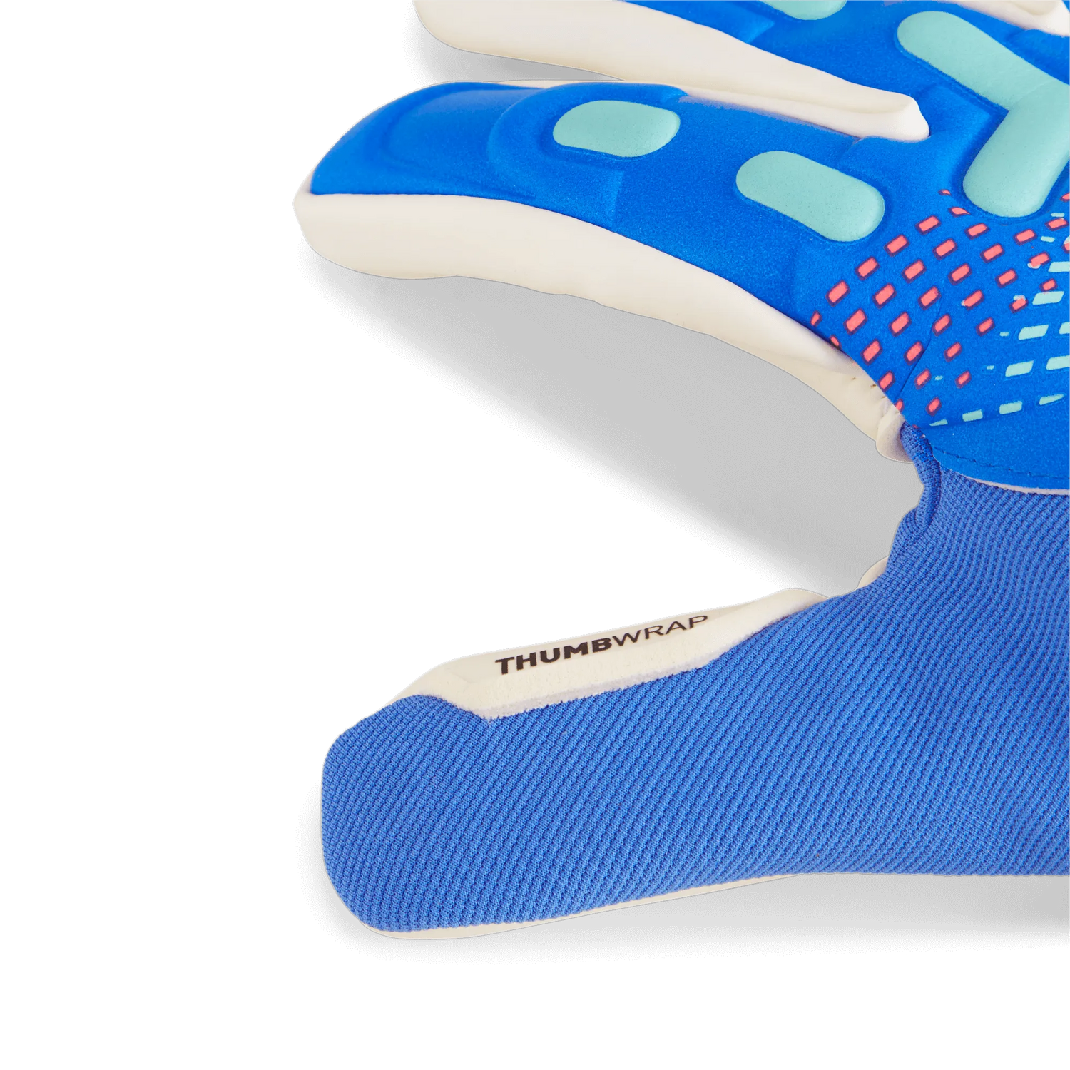 Puma Future Match NC Goalkeeper Gloves (Detail 1)