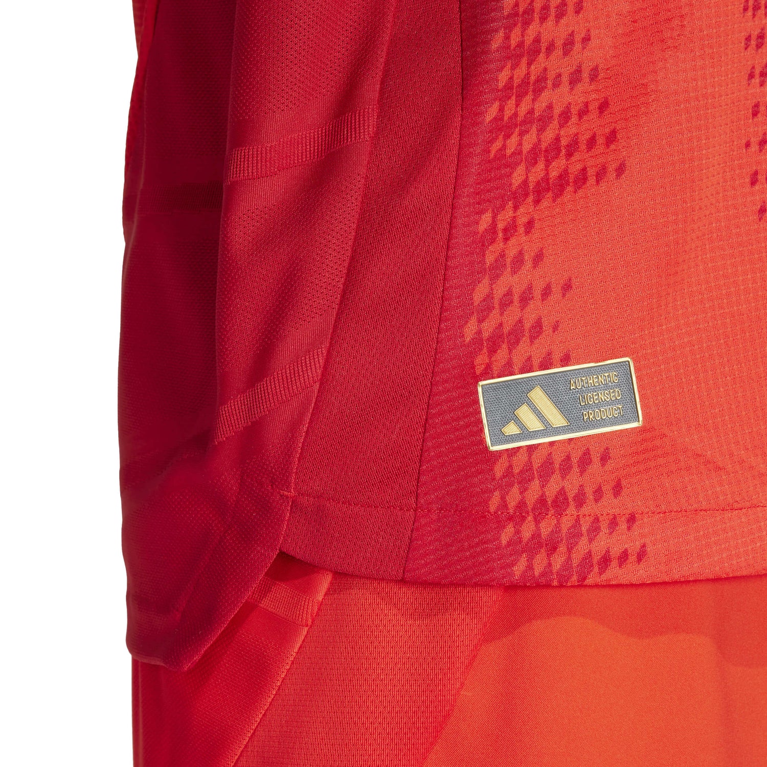 adidas 2024-25 Bayern Munich Authentic Home Jersey (Detail 2)