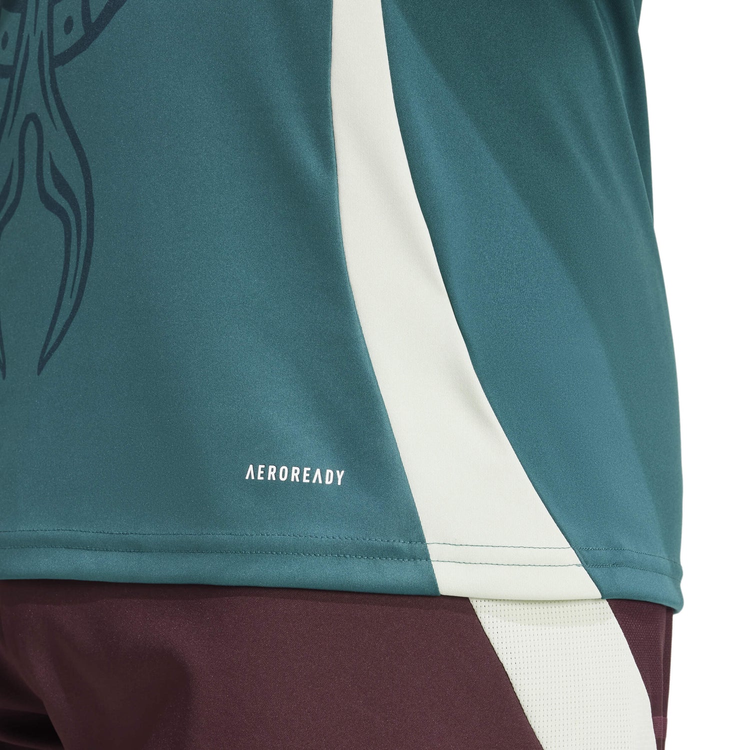 adidas 2024-25 Mexico Men's Pre-Match Jersey (Detail 2)