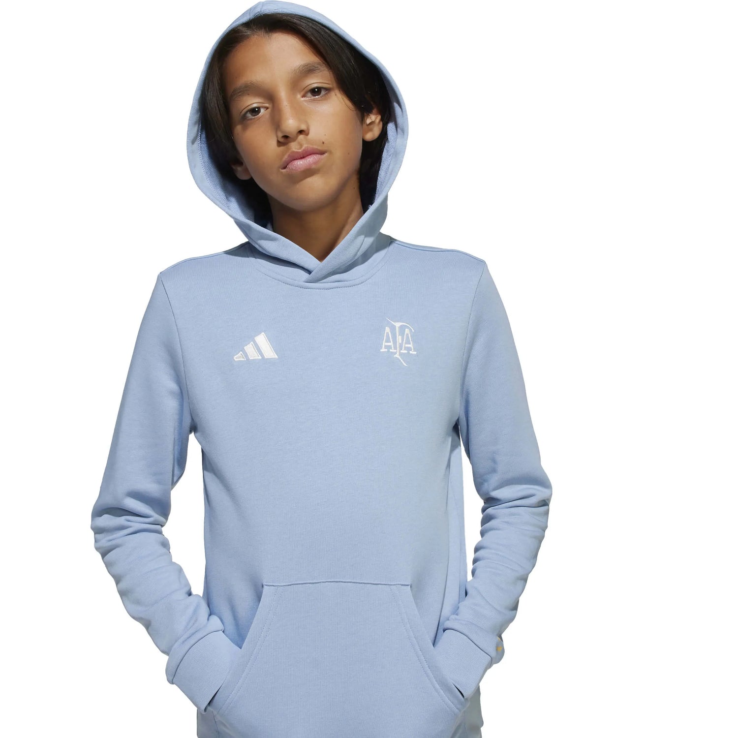 adidas 2025-26 Argentina Youth Anniversary DNA Hoodie (Detail 1)