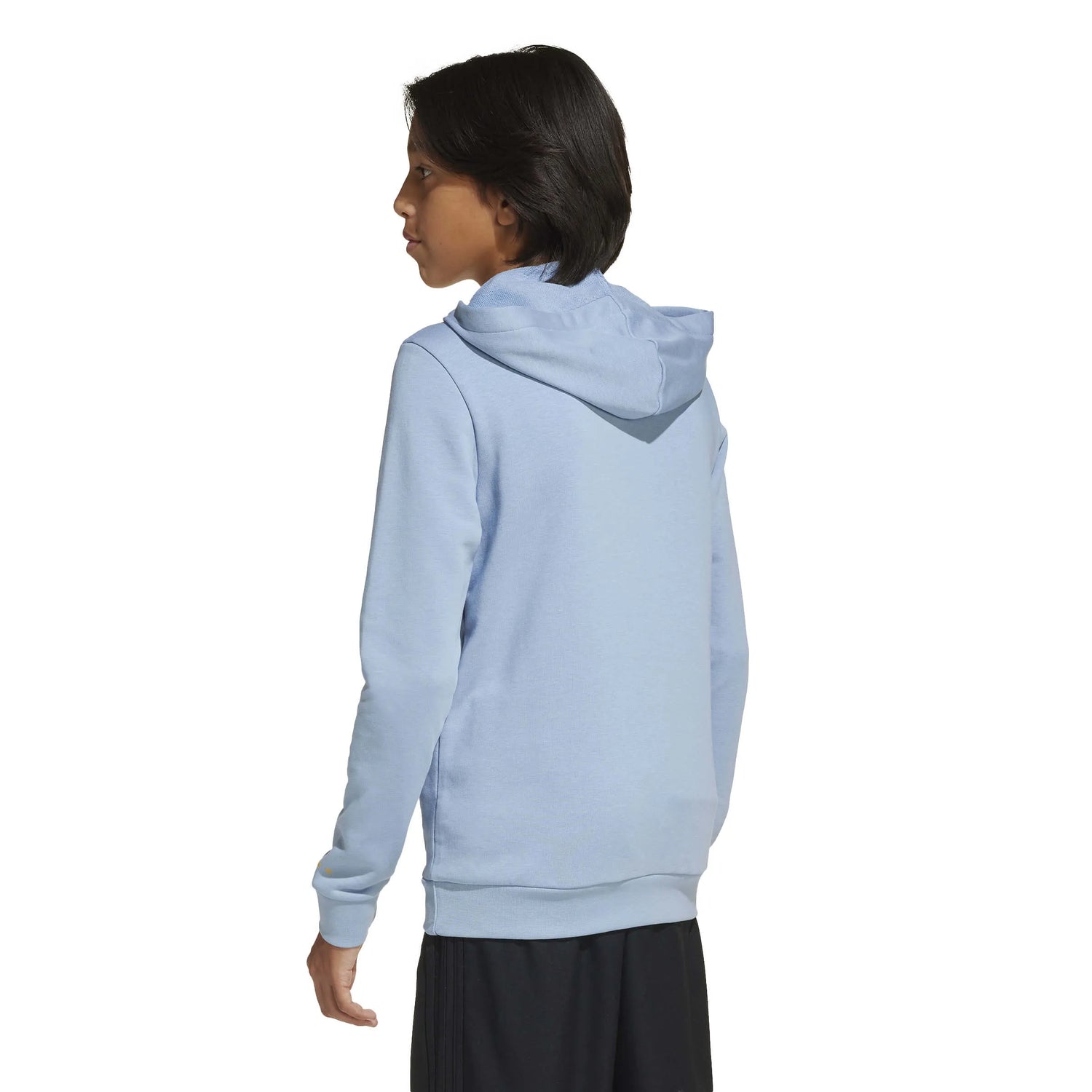 adidas 2025-26 Argentina Youth Anniversary DNA Hoodie (Model - Back)