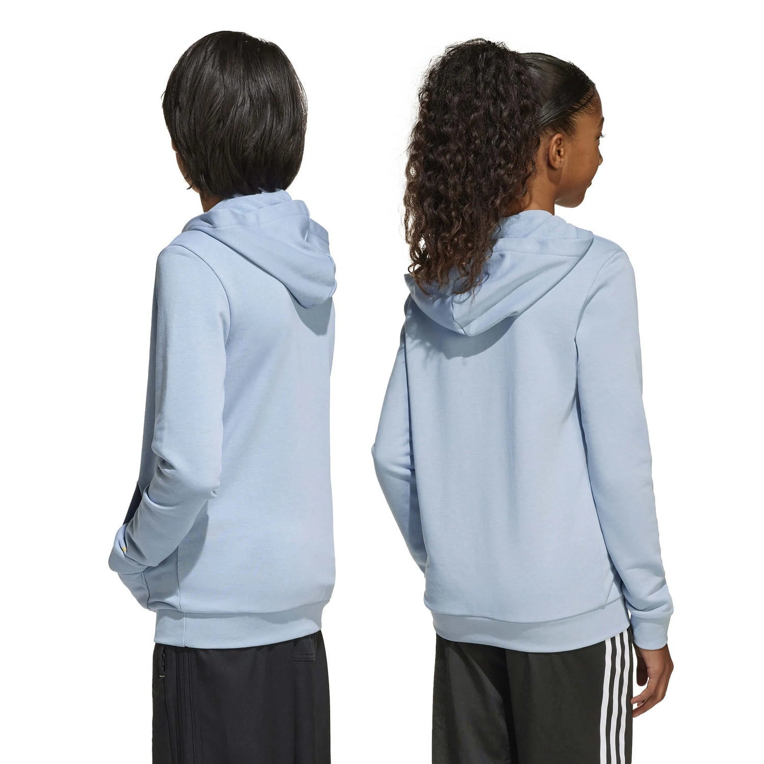 adidas 2025-26 Argentina Youth Anniversary DNA Hoodie (Models - Back)