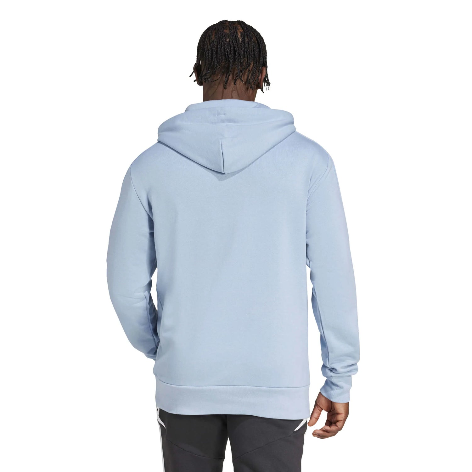 adidas 2025 Argentina Men's Anniversary DNA Hoodie (Model - Back)