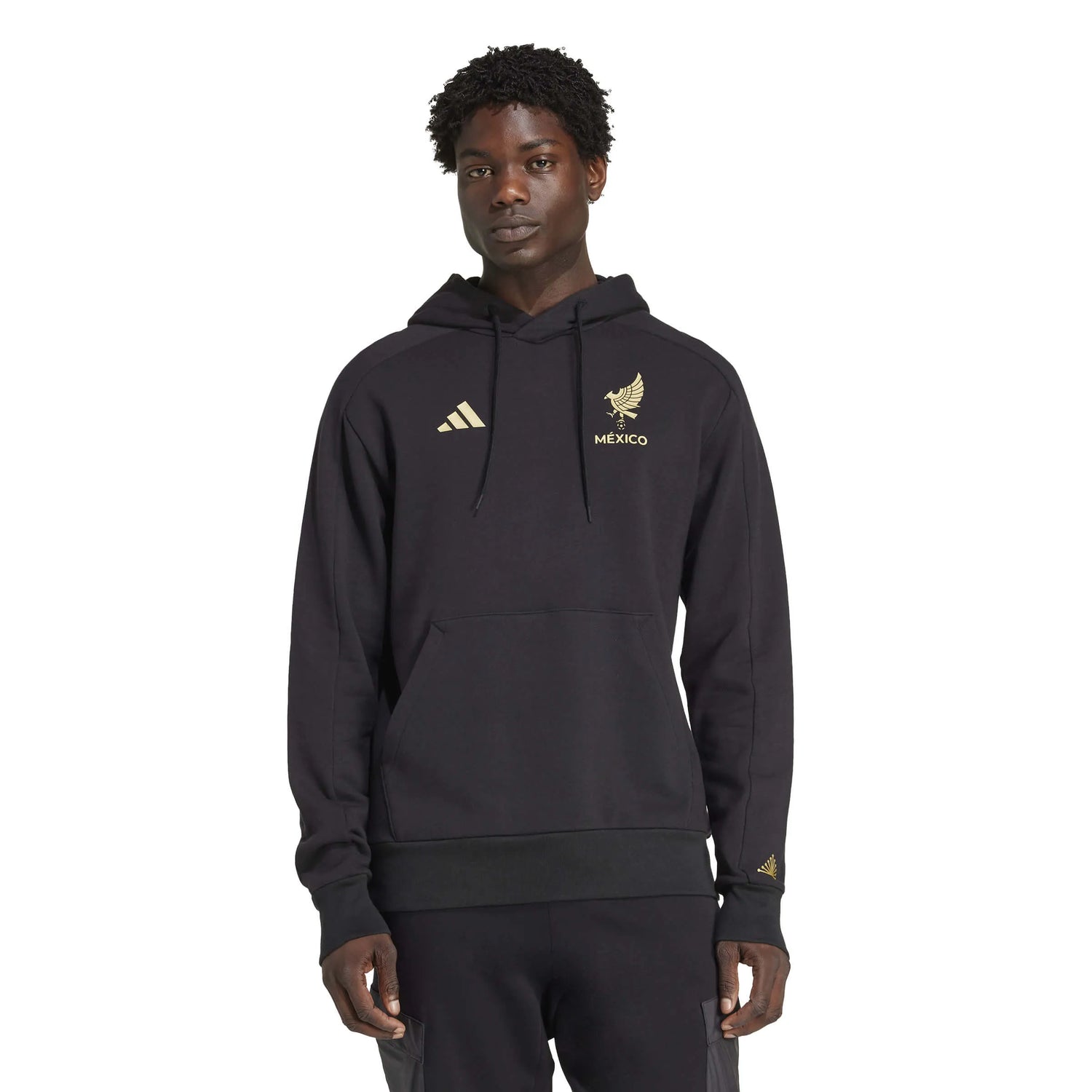 adidas 2025 Mexico Men's DNA Hoodie (Model - Front)