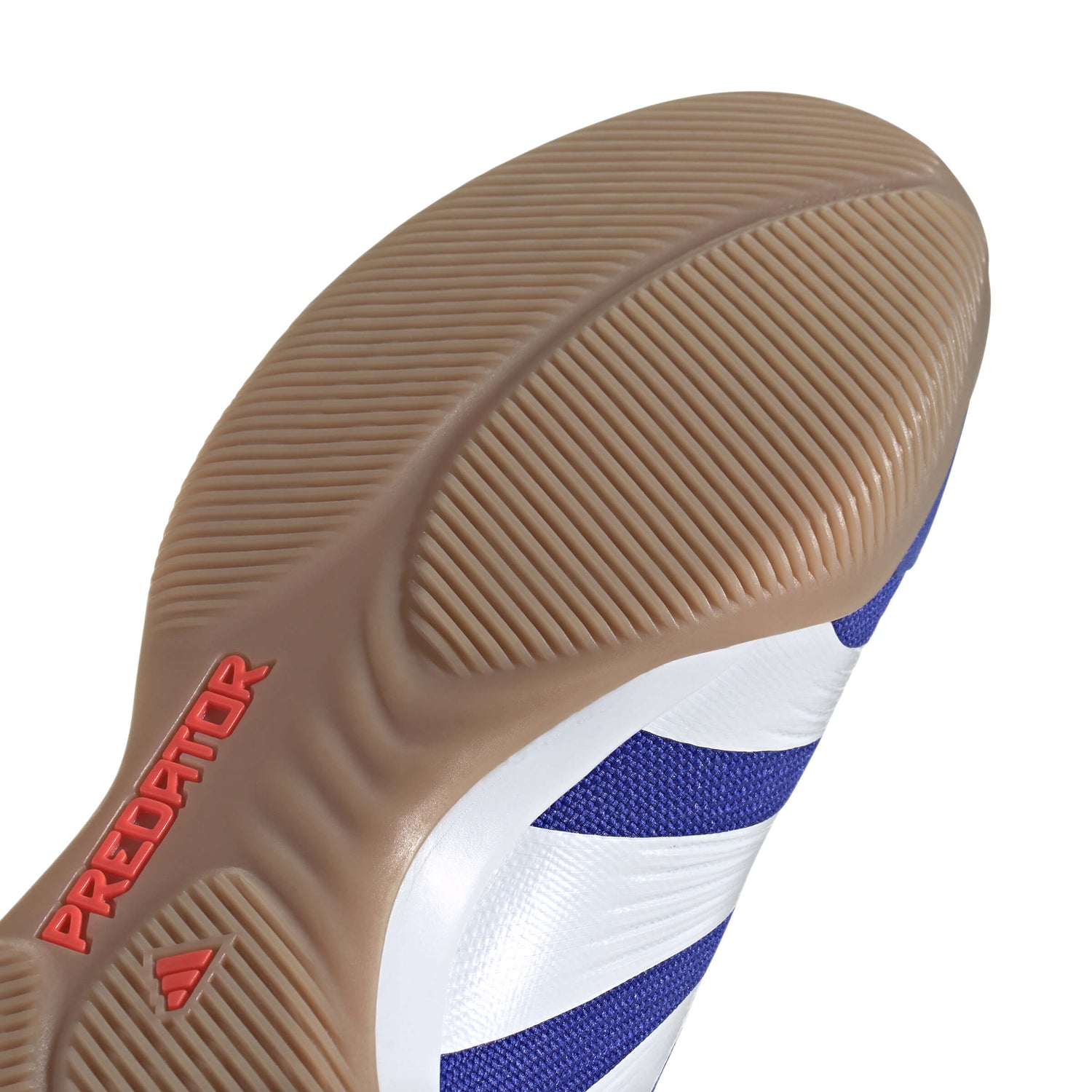 adidas Predator Elite Indoor - Advancement Pack (FA24) (Detail 2)