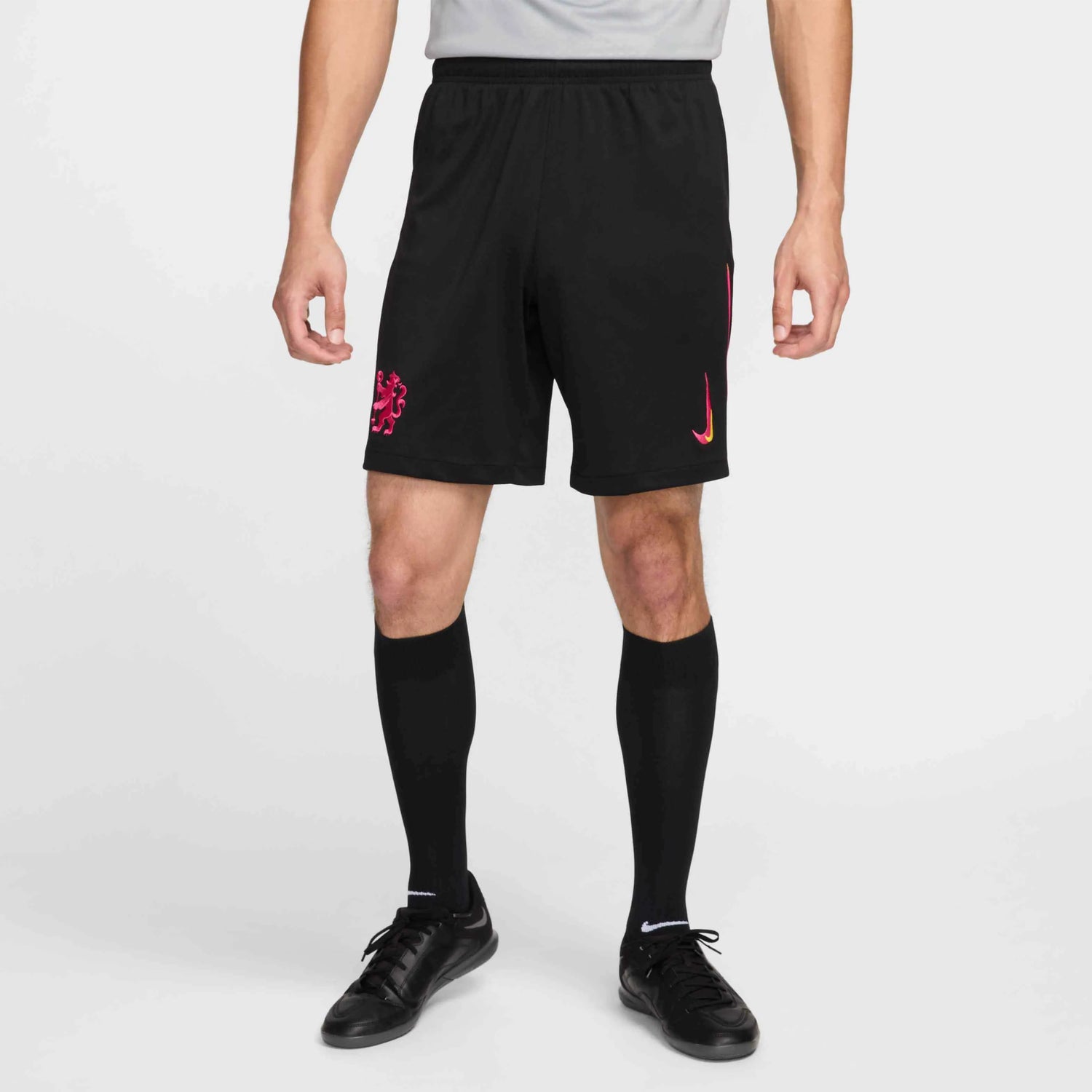 Nike 2024-25 Chelsea Men's Stadium Third Shorts (Model - Front)