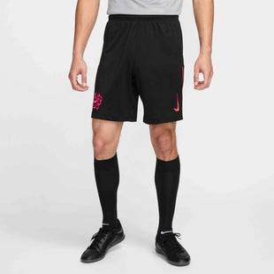 Nike 2024-25 Chelsea Men's Stadium Third Shorts (Model - Front)