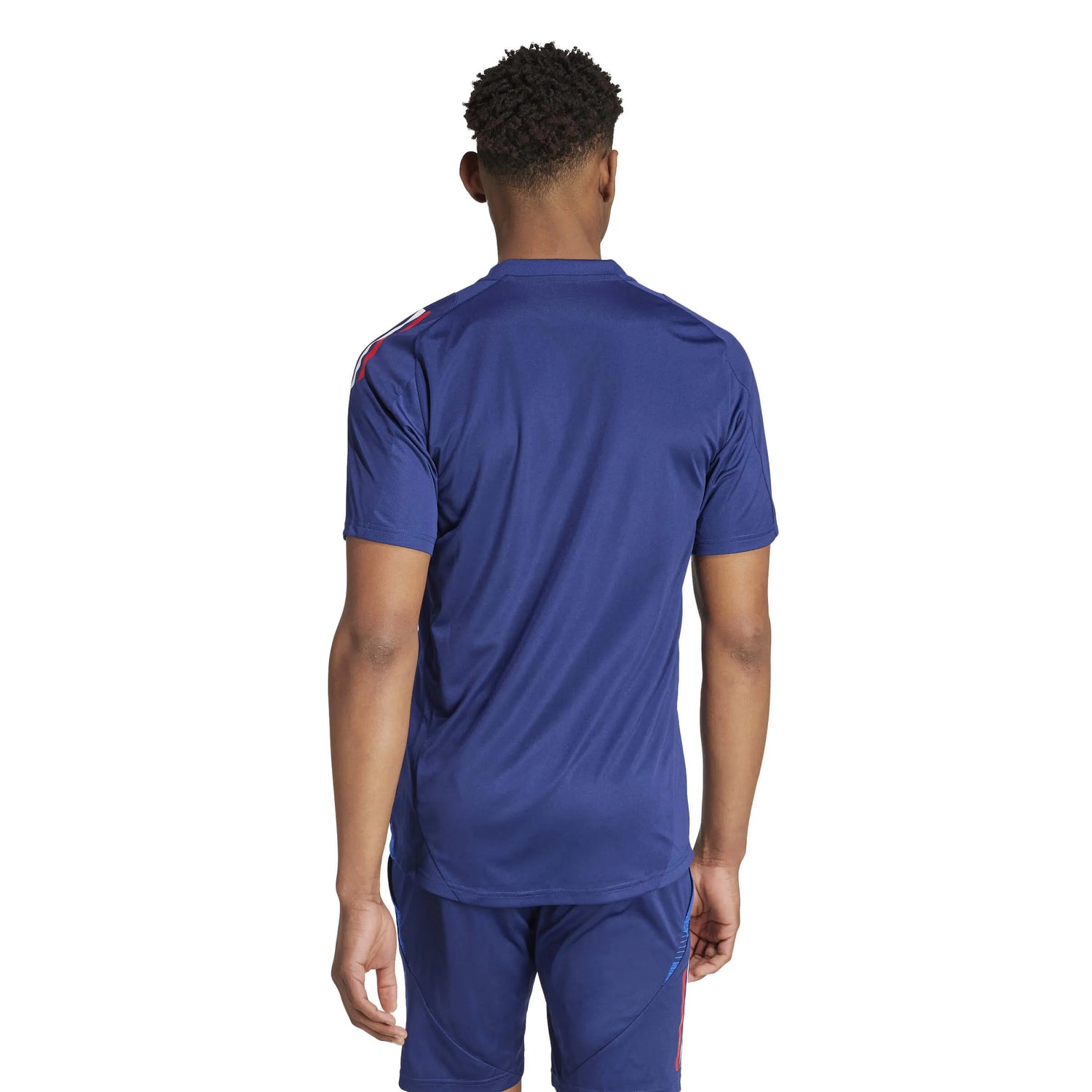 adidas 2024-25 Italy Men's Tiro 24 Competition Training Jersey (Model - Back)