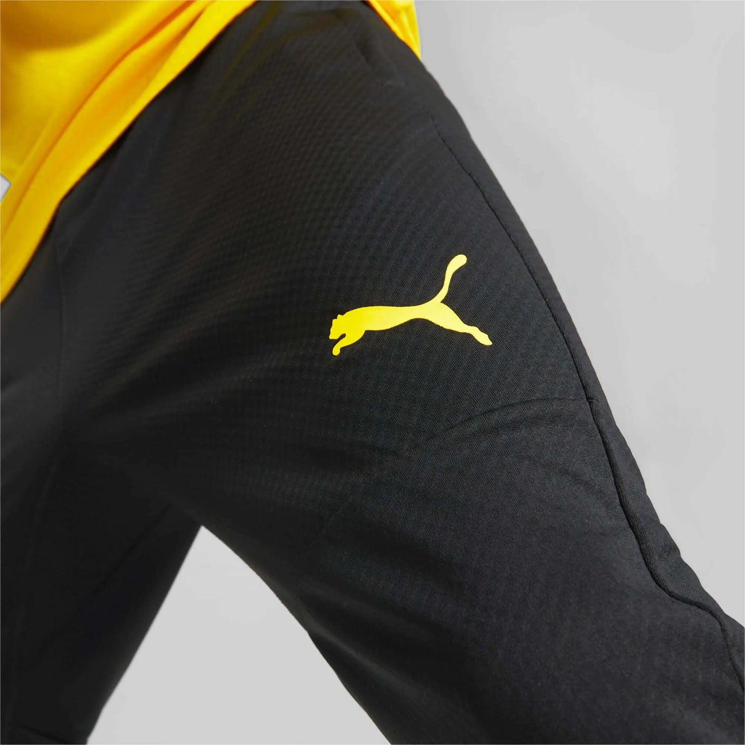 PUMA Men s Borussia Dortmund DryCELL Training Pants