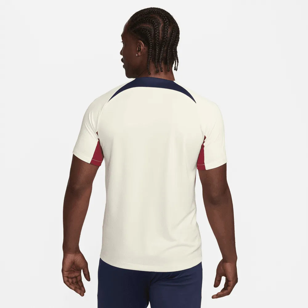 Nike 2023-24 PSG Men's Dri-Fit Knit Top (Model - Back)