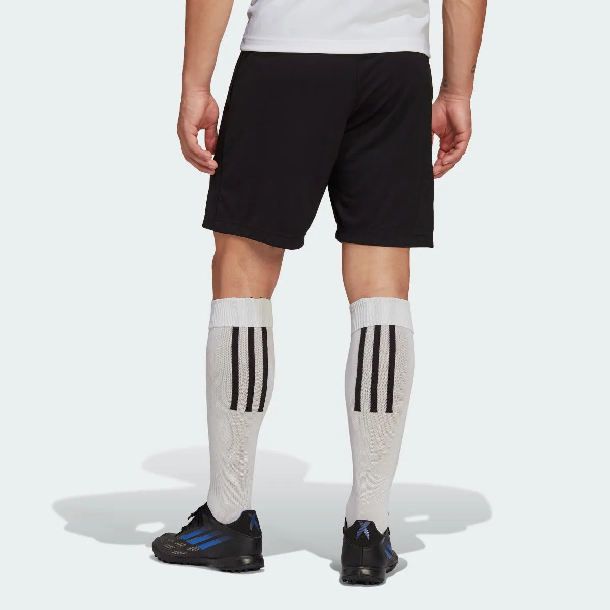 adidas Entrada 22 Training Shorts (Model - Back)